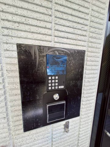 フルリ・シュシュのセキュリティ