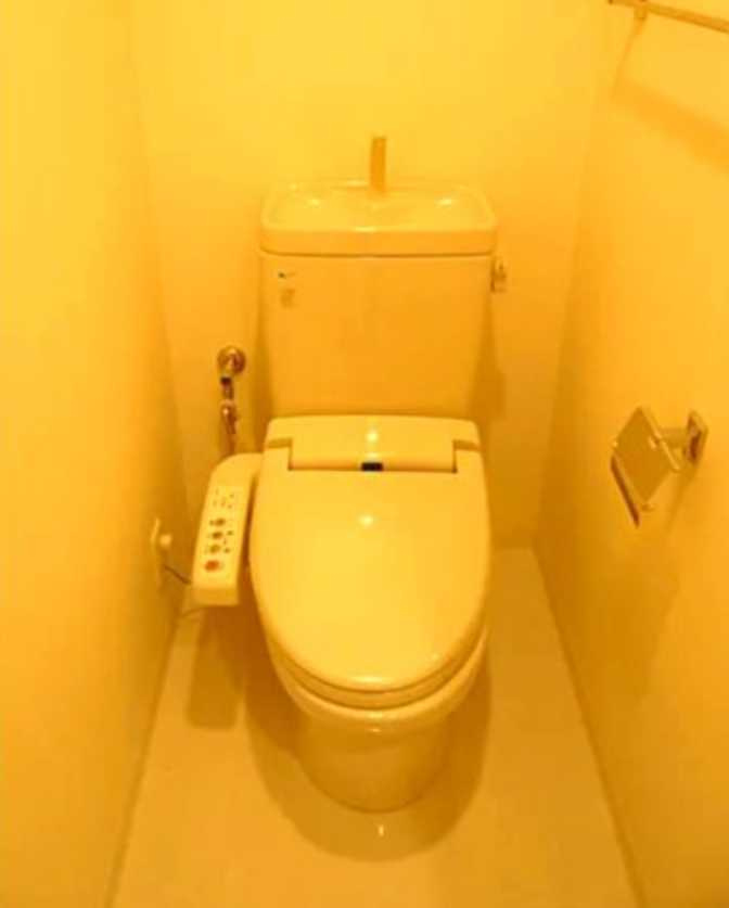 ダイナシティ三軒茶屋　礼金０　分譲賃貸　南西角部屋　駅近のトイレ