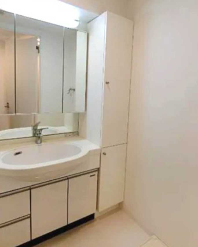 ダイナシティ三軒茶屋　礼金０　分譲賃貸　南西角部屋　駅近の洗面所