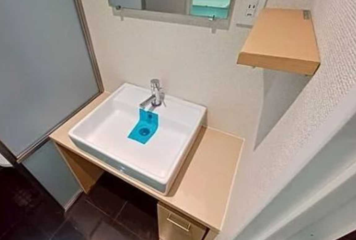 DeLCCSKomazawa　敷金０　礼金０　フリーレントの洗面所