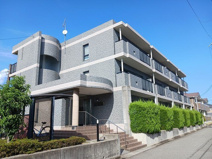 エクセランビラの画像