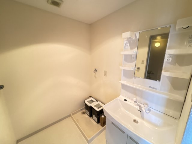 プレ東生駒の洗面所