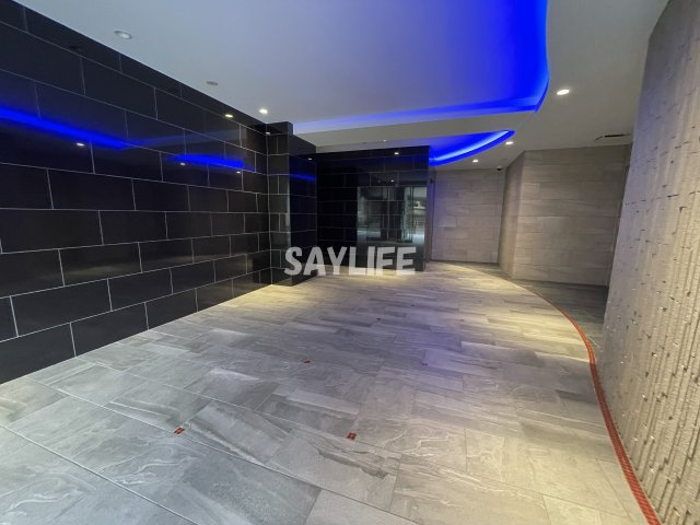 Alivis放出のロビー