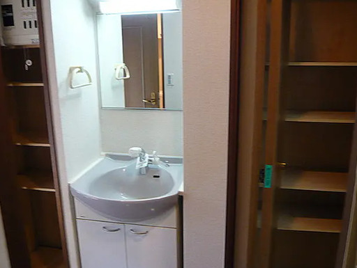 クレスト目白の洗面所