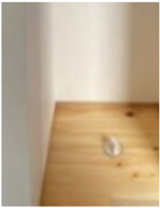 Ｐａｒｃ　Ｌｕｘ（パークルックス）(パークラックス) のその他|洗濯機置き場☆(同一仕様写真)