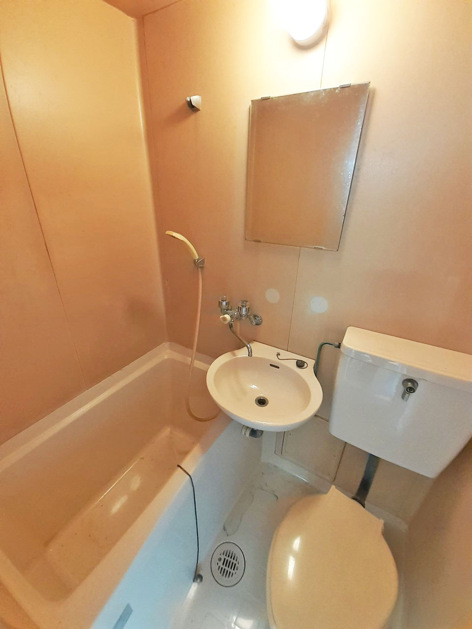 ベルハイツ長瀬A棟の洗面所