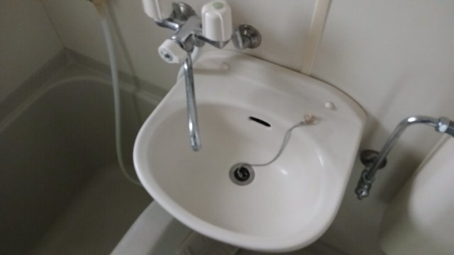 フローラルハイツ若葉の洗面所