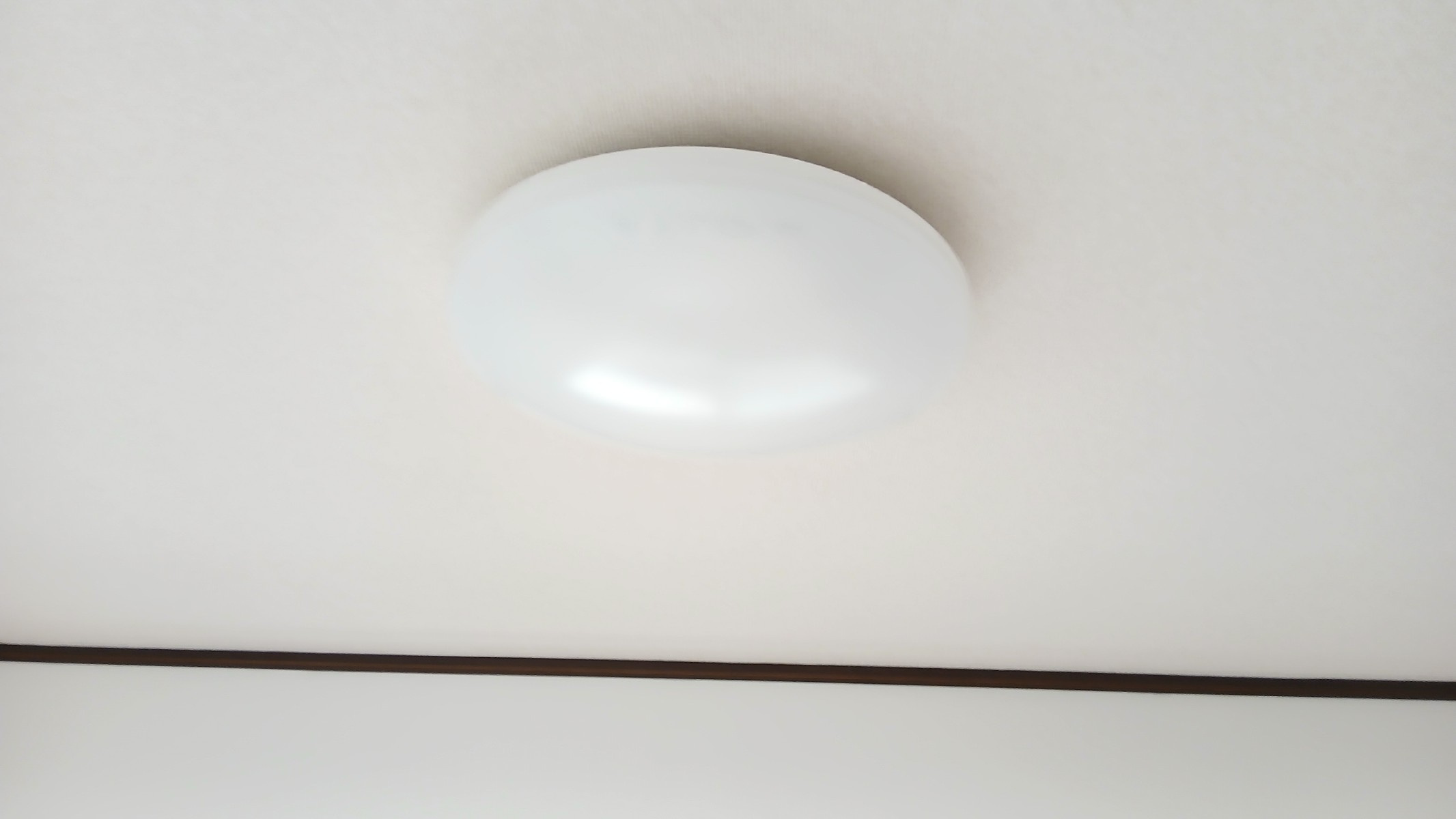 フローラルハイツ若葉のその他