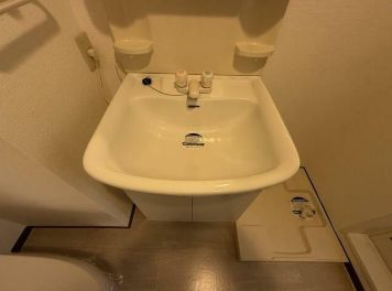 カーサ躑躅ヶ丘（カーサツツジガオカ）の独立洗面台|独立洗面台付き☆（同一仕様写真）