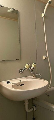 三園さえぐさマンションの洗面所