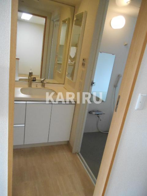 グラマシー京橋の洗面所