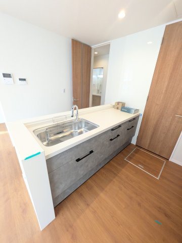 オルタンシアⅡのその他