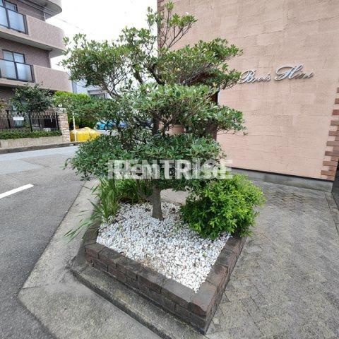ブロア日野のロビー