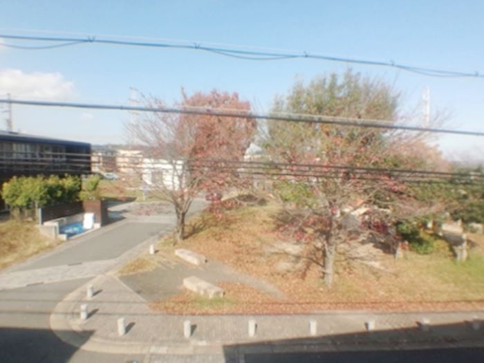 グリーンパーク ニレの木の展望