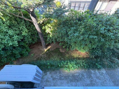 【バルコニー】 | 第三赤坂ハイツ