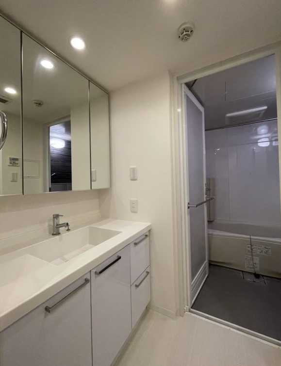 ミリアレジデンス桜新町　敷金０　礼金０　ペット相談の洗面所