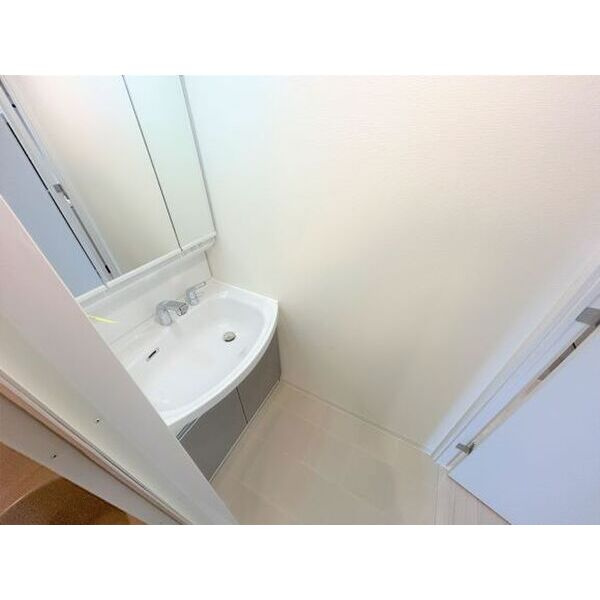 ブランシエスタ西京極の洗面所