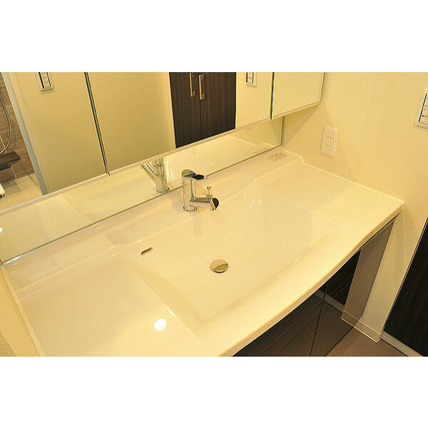 ブランシエラ二条城の洗面所