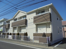 プラシードの画像