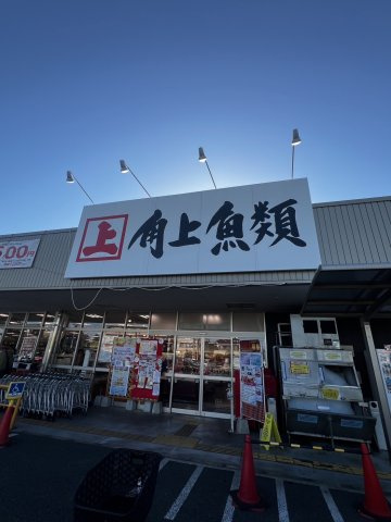 セザール大宮中央公園の周辺