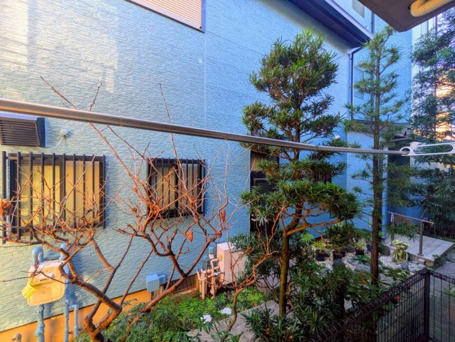 フィオレの展望