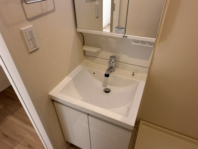 エリシオン野方の洗面所