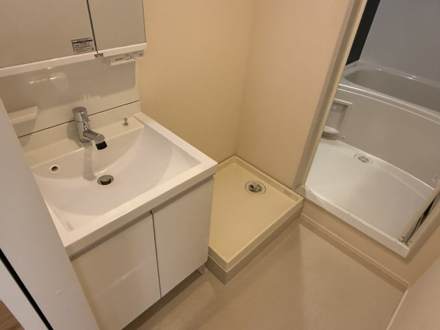 エリシオン野方の洗面所