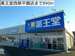 メゾンドフラン　イシカラＢの周辺|薬王堂西根平館店まで890m