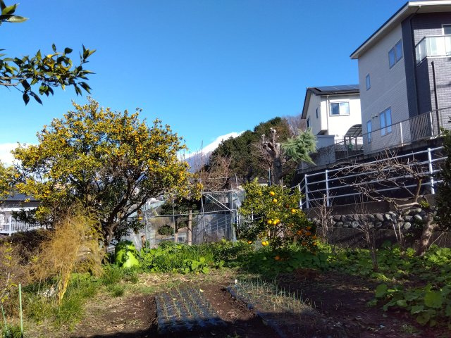 売土地　富士市天間の外観|敷地が約190坪と広々としています。自由な間取りでお家が建てられます。駐車場を広く取る事も可能です。