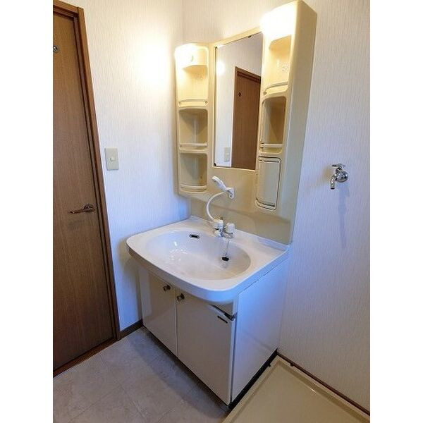 アムールTOMOIKEの洗面所