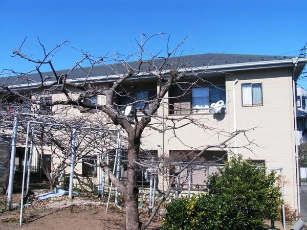 【外観】 | シャトーナカムラ