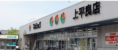 イマージアム光井Ｂの周辺|マルショク上平良店まで110m