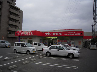 【周辺】 | シェリールⅡ | ウエルネス（ドラッグストア）まで800ｍ