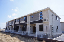 ランタナの画像