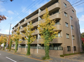 【外観】 | アンビエント北山通松ヶ崎【角部屋★南向き★４LDK】