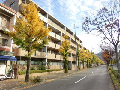 【外観】 | アンビエント北山通松ヶ崎【角部屋★南向き★４LDK】