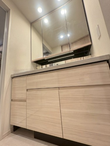 クラッシィタワー新宿御苑の独立洗面台