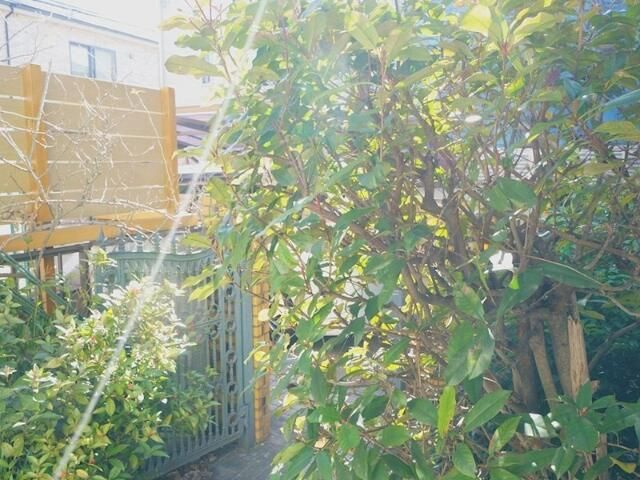 保谷コーポの展望