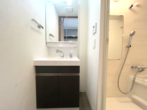 ウエリスアーバン守口の洗面所