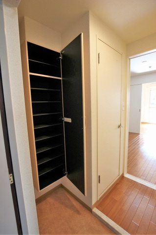 アリシュアのその他