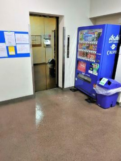 【ロビー】 | ロイヤル石川町