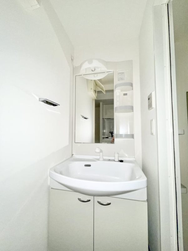 ライジングプレイス亀戸の洗面所