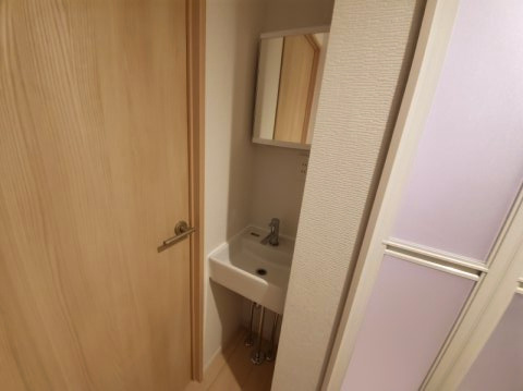 PINEAPPLE HILL西新井の洗面所