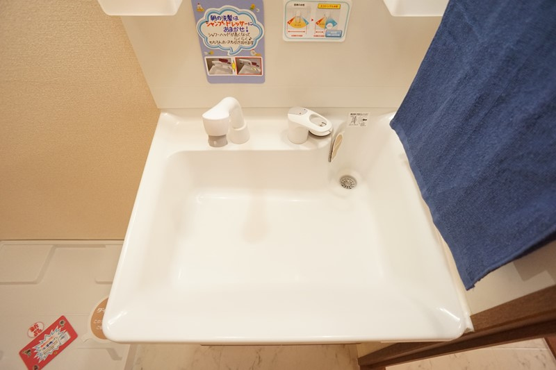 メゾンパレス新大宮の洗面所