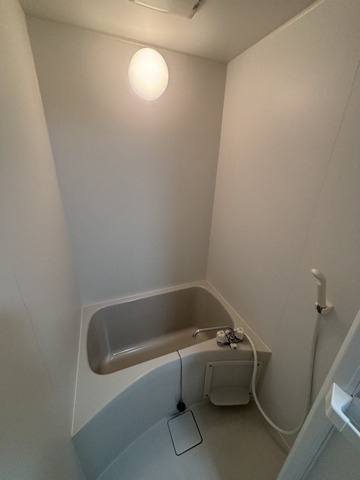 カンステレイションⅣの浴室