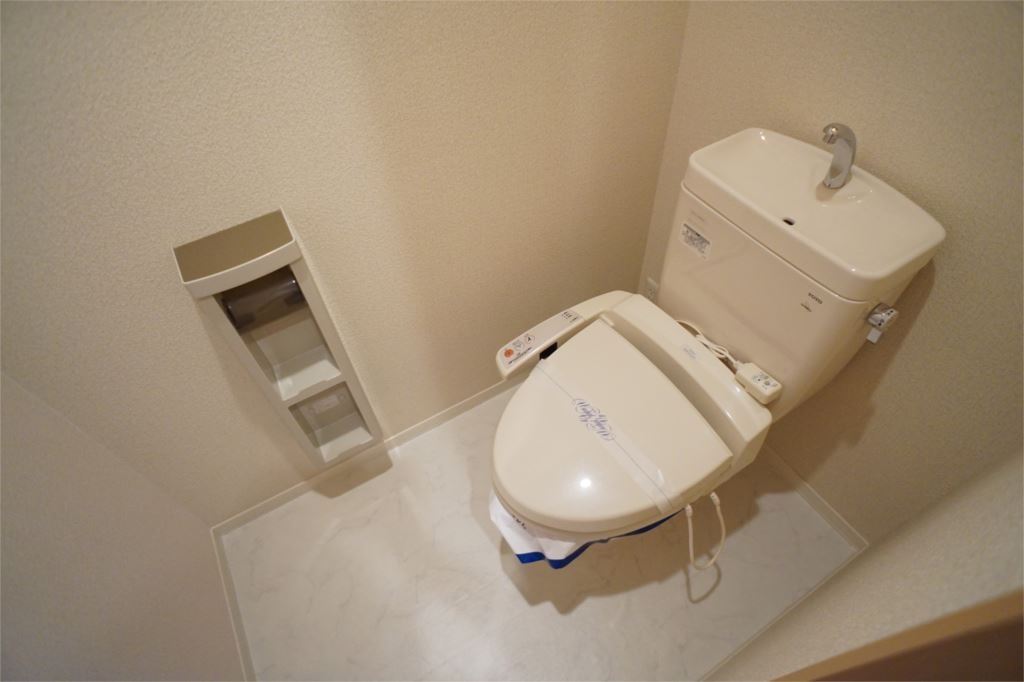 グリーンメゾン菰川Ａ棟のトイレ