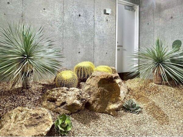 Lejon's Garden(レージョンズガーデン)