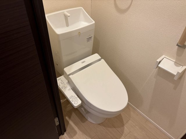 ミランダソレーユのその他