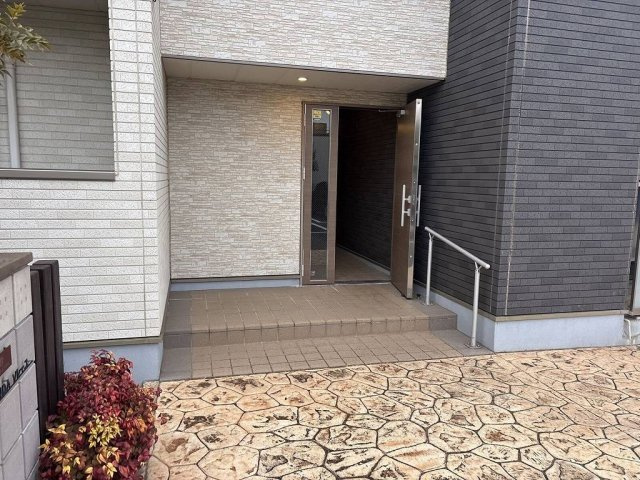 ミランダソレーユのその他