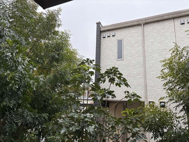 ミランダソレーユのその他